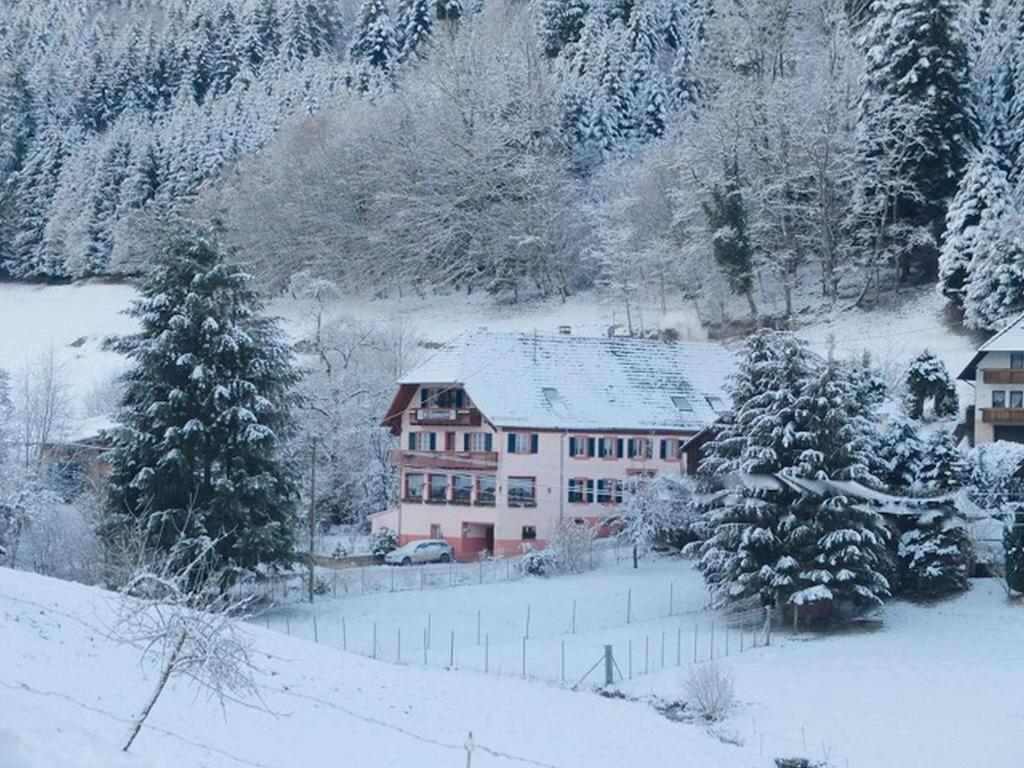 Gasthaus Schwert Seelbach (Baden-Wurttemberg)