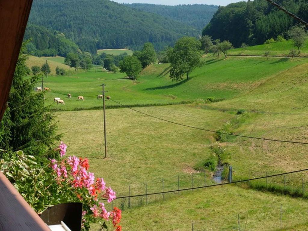 Gasthaus Schwert