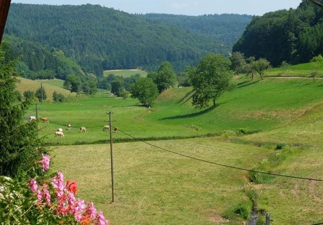 Gasthaus Schwert Gasthof *